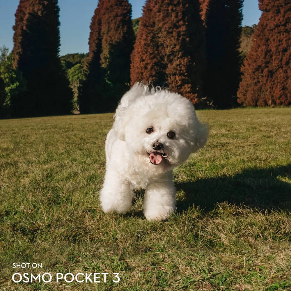 מייצב צילום יציב וקומפקטי בכל מקום DJI OSMO POCKET 3