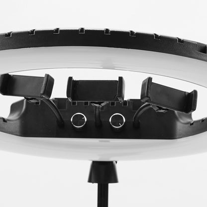 רינג לייט מקצועי בקוטר 54 ס״מ MSSL21 מבית Miracase